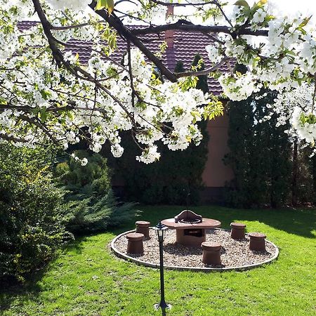 Appartement Fonix Apartman à Gyula Extérieur photo